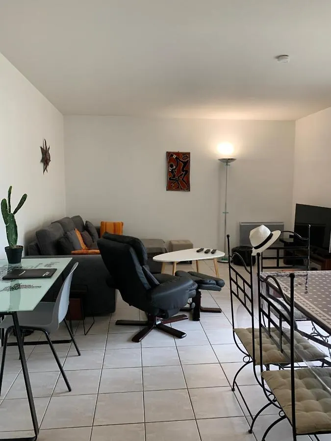 Bel Appartjardin Auch 100M2 6Pers 2Sd 2Wc Parking Gratuit Proche Parc Cine Circa Bus Cces Apartment